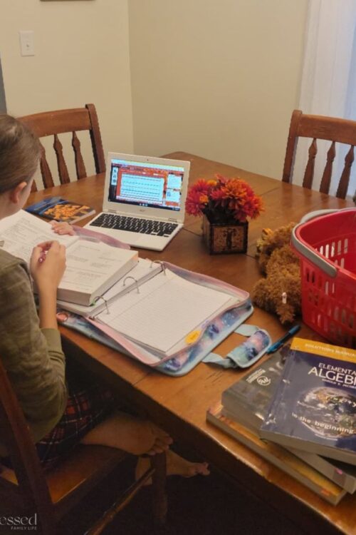 Christian Homeschooling Essentials: Nurturing Faith And Knowledge In 10 Ways