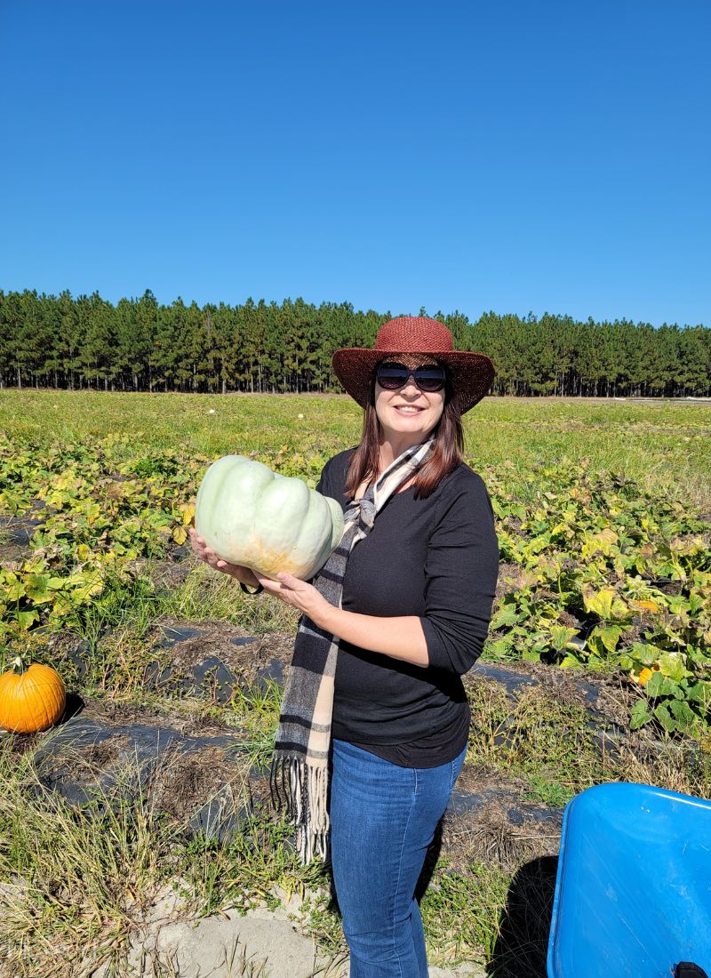 mcleod farms pumpkin picking