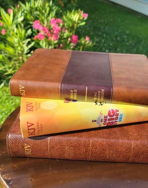 Check Out this Awesome Review and  Giveaway for a Holman King James Bible